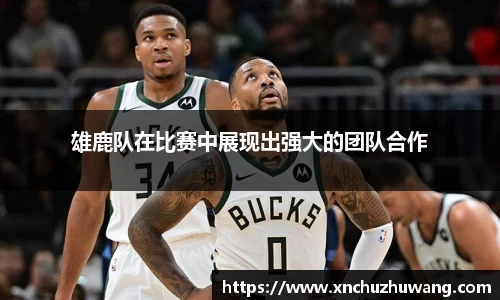 雄鹿队在比赛中展现出强大的团队合作