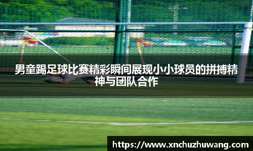 zoty中欧体育官方网站