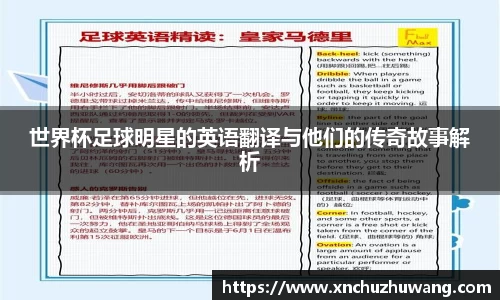 乐动LDSports综合体育